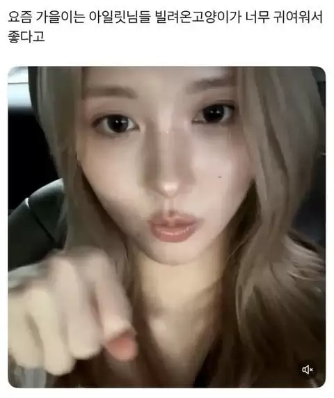 1750612632 i2