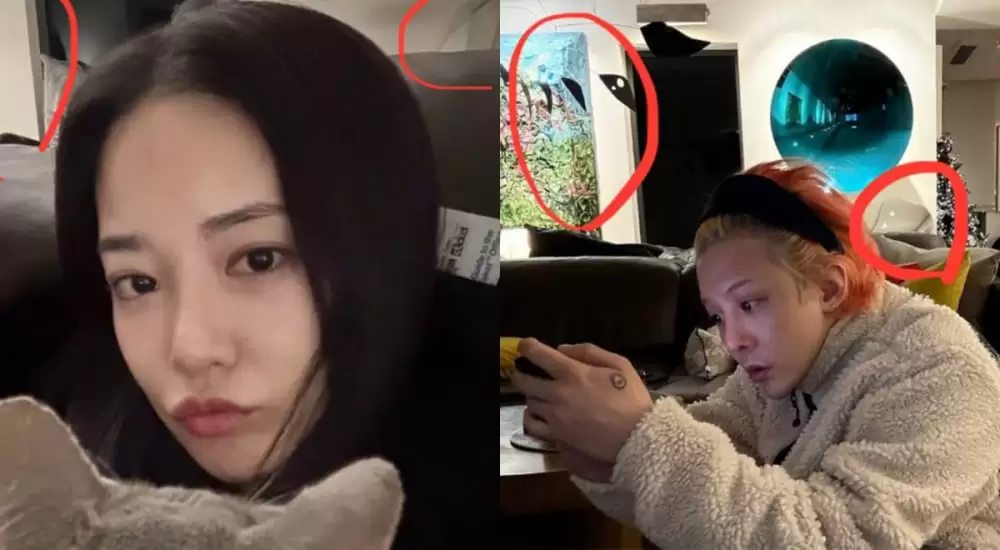1749167060 20250605 gdragon