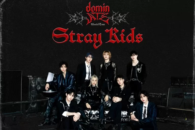 Articles stray kids 2024 11 18